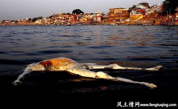 恐怖的魔界传说---人尸养鱼_魔界传说【风土情网】 恐怖的魔界传说---人尸养鱼_魔界传说【风土情网】