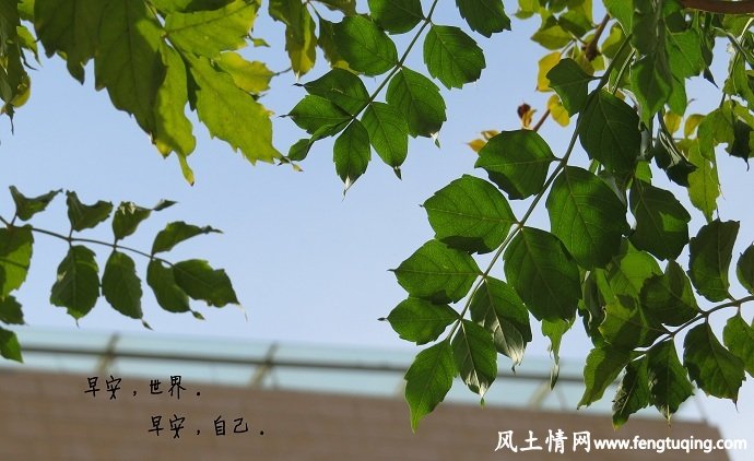 人情世故中的微妙细节---早安_人情世故【风土情网】 人情世故中的微妙细节---早安_人情世故【风土情网】