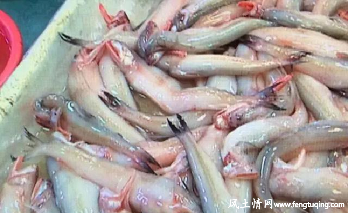 汕头无良女鱼贩给鱼染红颜色出售_人间冷暖【风土情网】 汕头无良女鱼贩给鱼染红颜色出售_人间冷暖【风土情网】