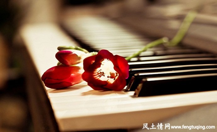 爱情感悟的唯美句子_情感文章【风土情网】 爱情感悟的唯美句子_情感文章【风土情网】