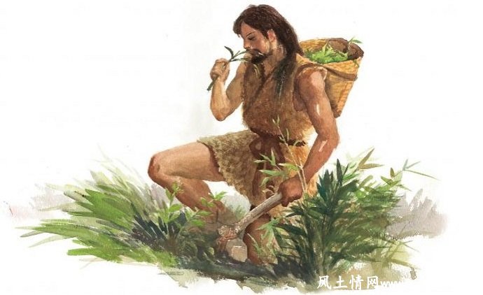 神农尝百草的民间故事_民间故事【风土情网】 神农尝百草的民间故事_民间故事【风土情网】