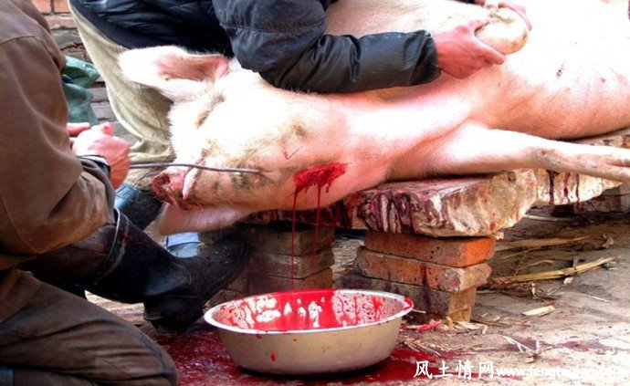 传说,屠夫,临死前,会,遭,报应_民间传说【风土情网】 传说,屠夫,临死前,会,遭,报应_民间传说【风土情网】