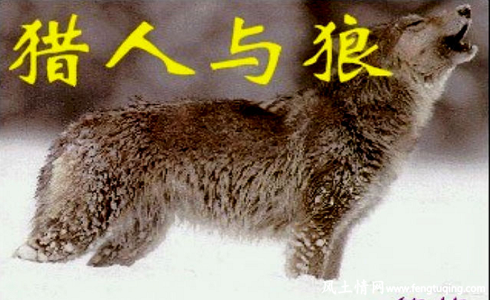 猎人和狼_格林童话【风土情网】 猎人和狼_格林童话【风土情网】
