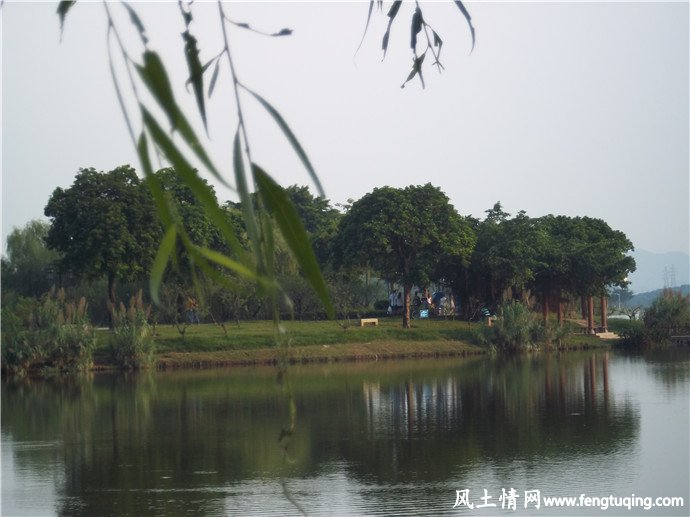 广东,东莞,风景名胜,松湖烟雨_风景图片【风土情网】 广东,东莞,风景名胜,松湖烟雨_风景图片【风土情网】
