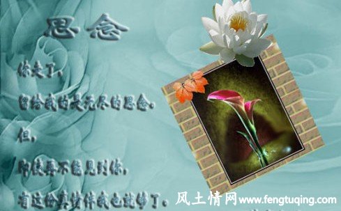 思念_情感文章【风土情网】 思念_情感文章【风土情网】
