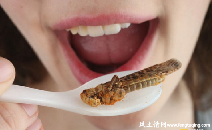 仡佬族人,吃虫节,来历_风土习惯【风土情网】 仡佬族人,吃虫节,来历_风土习惯【风土情网】