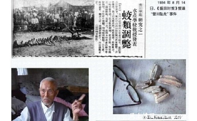 营口坠龙的传说_魔界传说【风土情网】 营口坠龙的传说_魔界传说【风土情网】