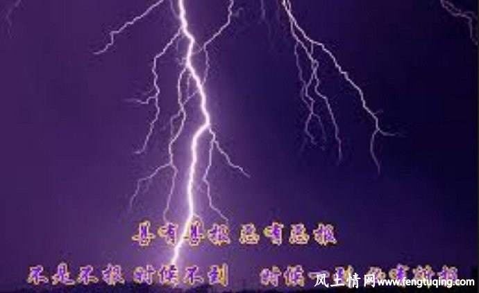 善有善报 恶有恶报_人间冷暖【风土情网】 善有善报 恶有恶报_人间冷暖【风土情网】