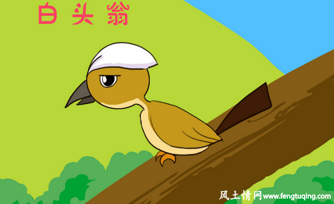 白头翁的民间传说故事_民间故事【风土情网】 白头翁的民间传说故事_民间故事【风土情网】