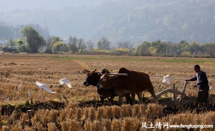 人间劳作的由来_仙界传说【风土情网】 人间劳作的由来_仙界传说【风土情网】