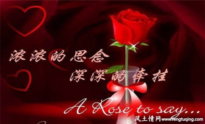 藕断丝连的甜言蜜语_情感文章【风土情网】 藕断丝连的甜言蜜语_情感文章【风土情网】