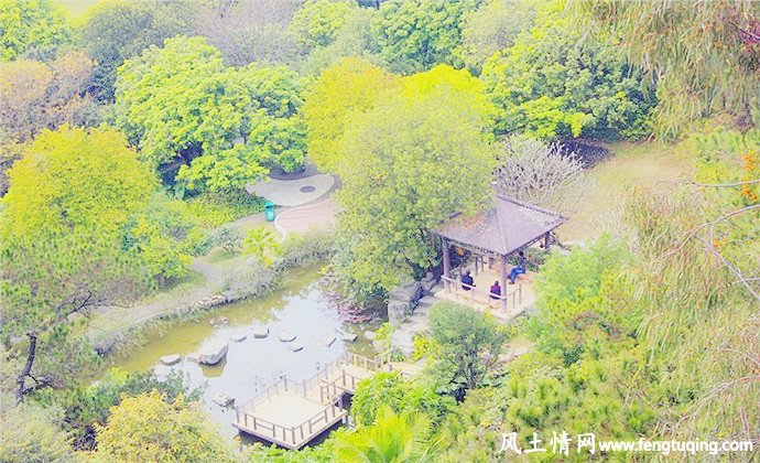 东莞风景名胜_虎英公园_风景图片【风土情网】 东莞风景名胜_虎英公园_风景图片【风土情网】
