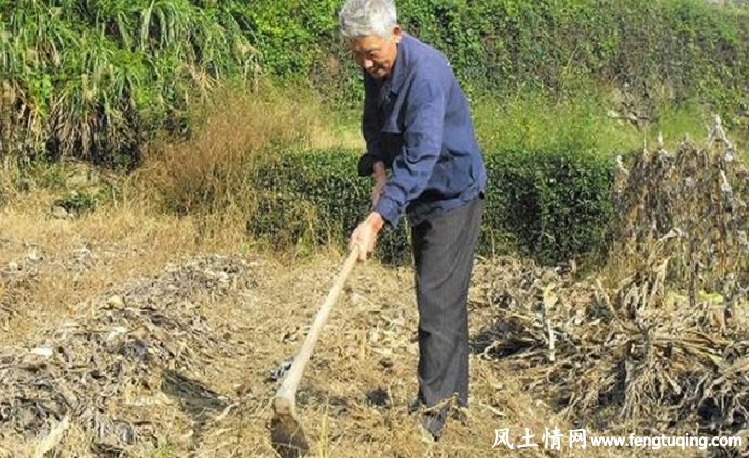 锄把子与笔杆子的民间传说故事_民间故事【风土情网】 锄把子与笔杆子的民间传说故事_民间故事【风土情网】