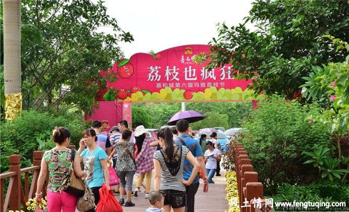 东莞风土人情_风土习惯【风土情网】 东莞风土人情_风土习惯_荔枝节【风土情网】