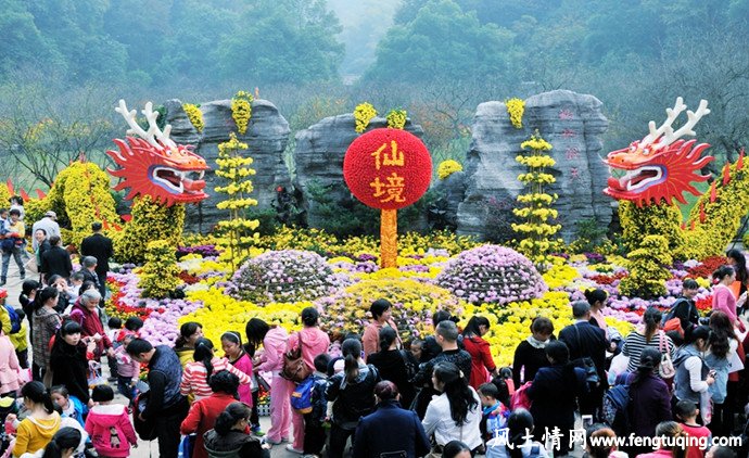 九月九菊花节的由来_传统习俗【风土情网】 九月九菊花节的由来_传统习俗【风土情网】