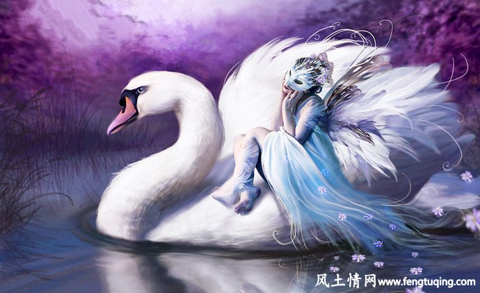 天鹅仙子_仙界传说【风土情网】 天鹅仙子_仙界传说【风土情网】