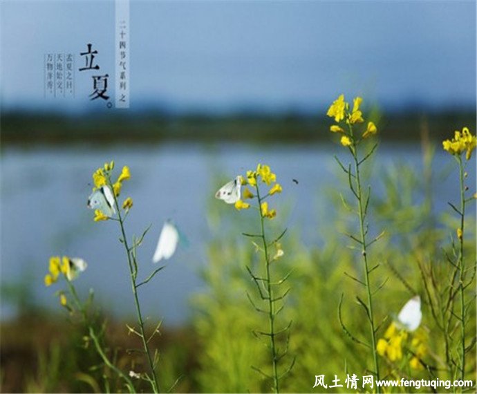 四离日四绝日,大事勿用_住宅风水-【风土情网】 四离日四绝日,大事勿用_住宅风水-【风土情网】