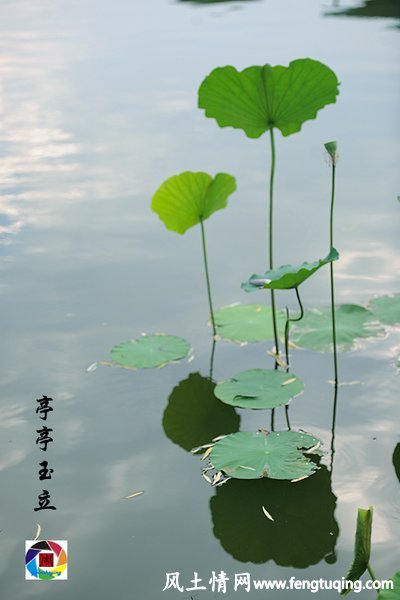 走遍民间风土,方知人间冷暖_风土人情-【风土情网】 走遍民间风土,方知人间冷暖_风土人情-【风土情网】