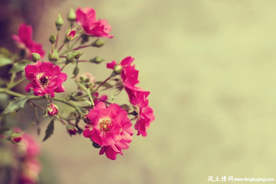 不懂人情世故是最大的悲哀_风土人情-【风土情网】 不懂人情世故是最大的悲哀_风土人情-【风土情网】