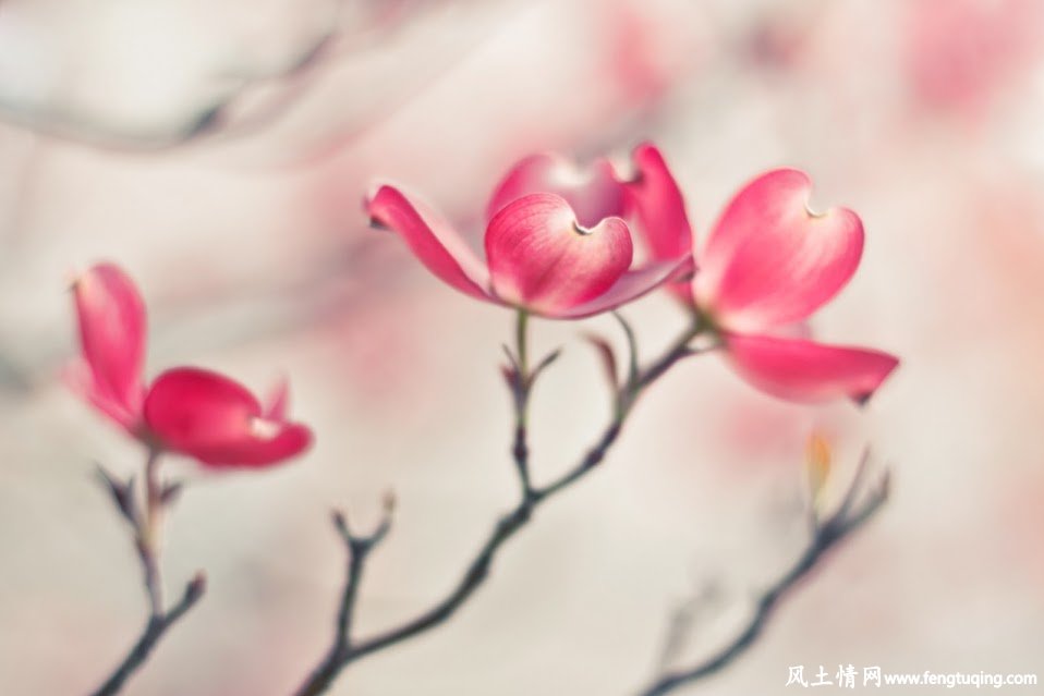 不懂人情世故是最大的悲哀_风土人情-【风土情网】 不懂人情世故是最大的悲哀_风土人情-【风土情网】