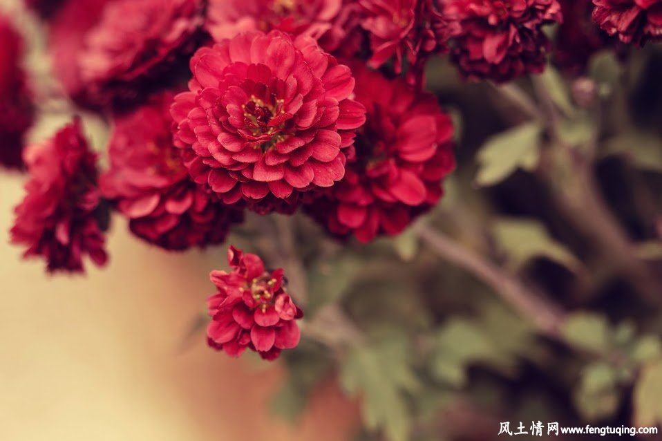不懂人情世故是最大的悲哀_风土人情-【风土情网】 不懂人情世故是最大的悲哀_风土人情-【风土情网】