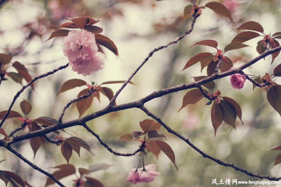 不懂人情世故是最大的悲哀_风土人情-【风土情网】 不懂人情世故是最大的悲哀_风土人情-【风土情网】