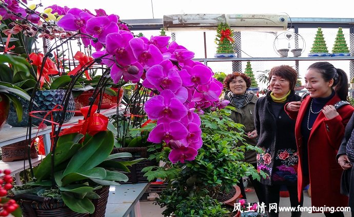 6种生活习惯能使你更健康_生活习惯【风土情网】 6种生活习惯能使你更健康_生活习惯【风土情网】