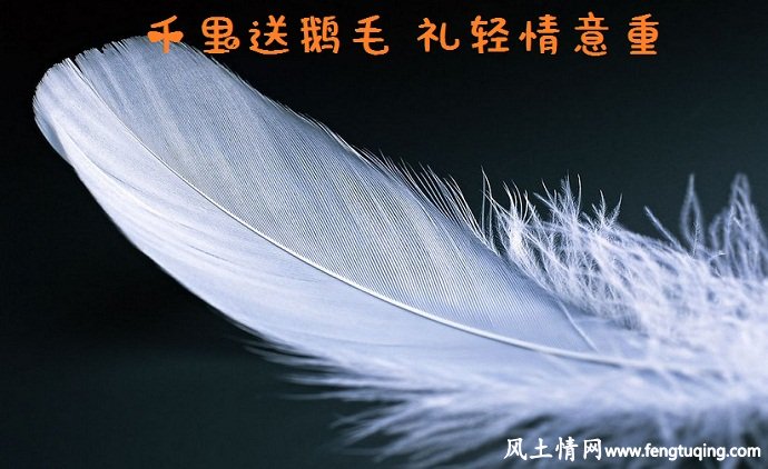 "千里送鹅毛 礼轻情意重"的故事_民间传说【风土情网】 "千里送鹅毛 礼轻情意重"的故事_民间传说【风土情网】