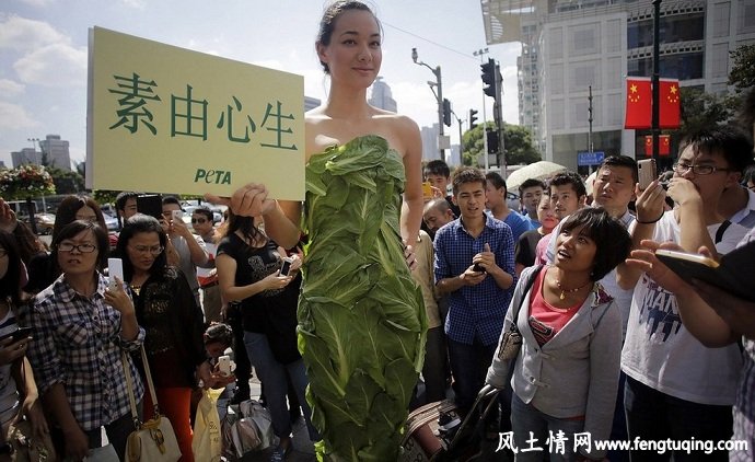 素食是健康的源泉是女性美肤的根源_生活习惯【风土情网】 素食是健康的源泉是女性美肤的根源_生活习惯【风土情网】
